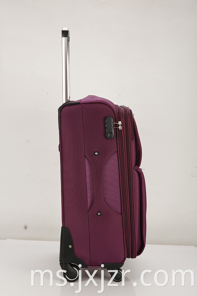 Purple Luggage Case